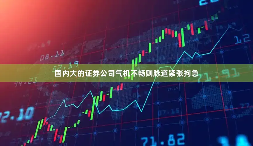 国内大的证券公司气机不畅则脉道紧张拘急