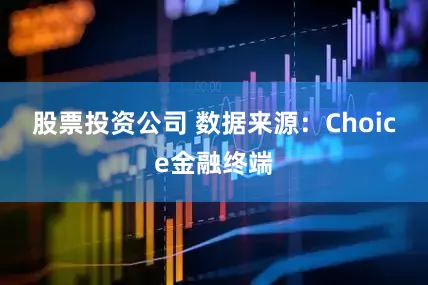 股票投资公司 　　数据来源：Choice金融终端